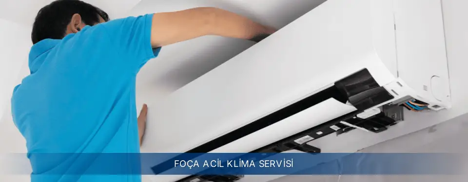 Foça İlçemi Electrolux Acil Klima Servisi