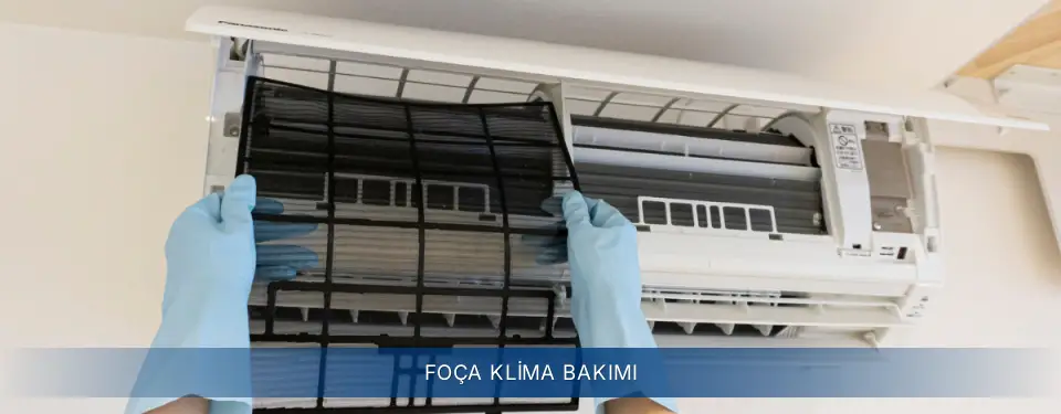Foça İlçemi Electrolux Klima Bakımı