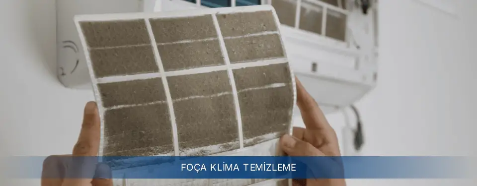 Foça İlçemi Electrolux Klima Temizleme